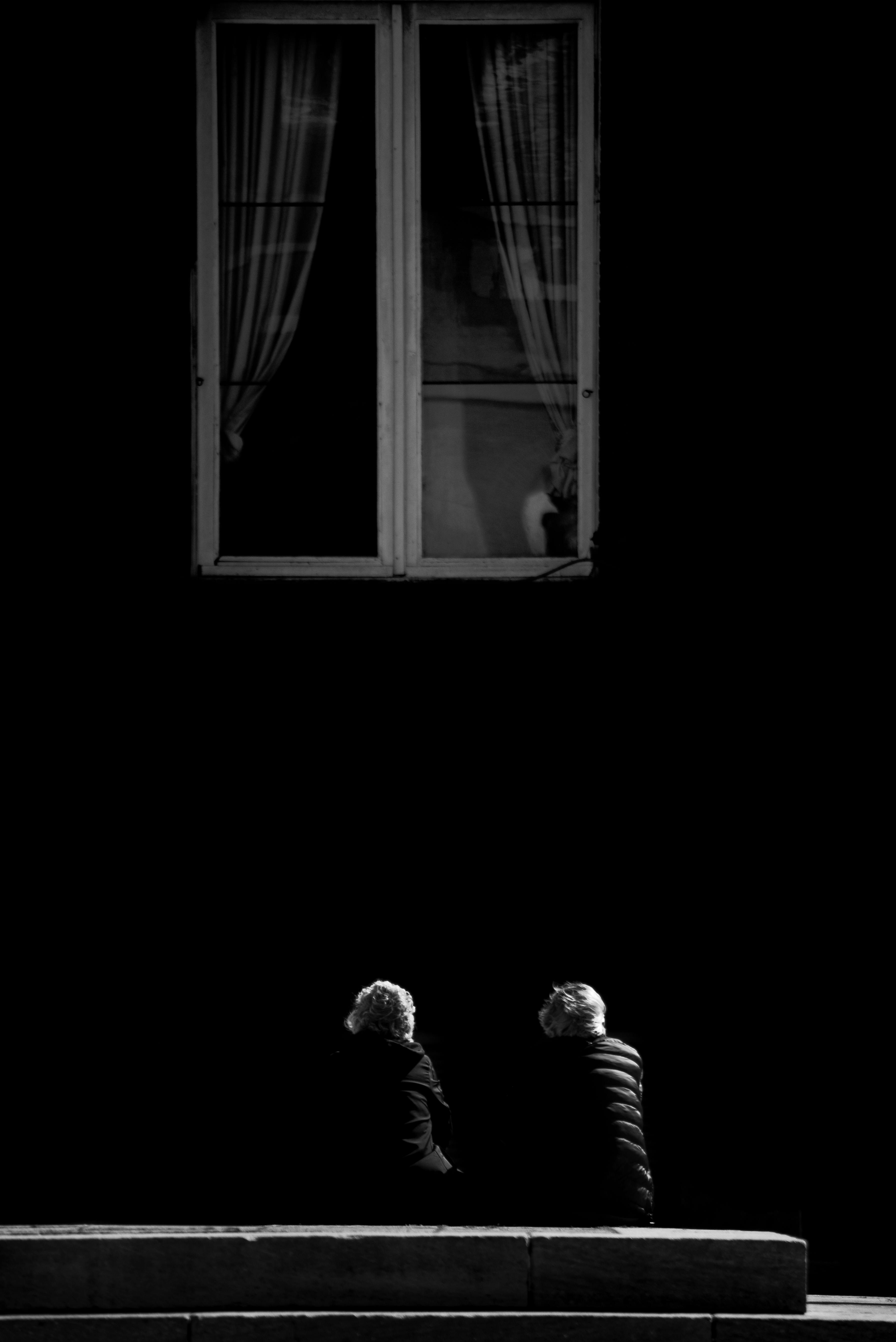 Windows 11 ISO Dosyası Nereden İndirilir? Kesin ve Hızlı Rehber