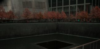 Windows 11’De Karanlık Mod Nasıl Açılır? Kolay ve Hızlı Rehber