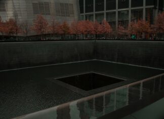 Windows 11’De Ekran İkiye Nasıl Bölünür? Kolay ve Hızlı Yöntemler