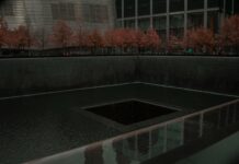 Windows 11’De Görev Çubuğu Taşınır Mı? Kesin ve Kolay Çözümler