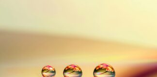 Windows 11 Android Desteği Neden Yok? Şaşırtan Gerçekler!