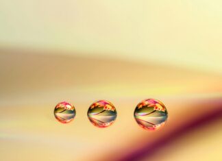 Windows 11 Android Uygulama Desteği Var Mı? Şaşırtan Gerçekler!