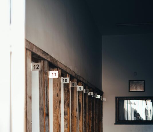 Windows 11 Dosyaları Silmeden Kurulabilir Mi? Kesin ve Kolay Yöntemler